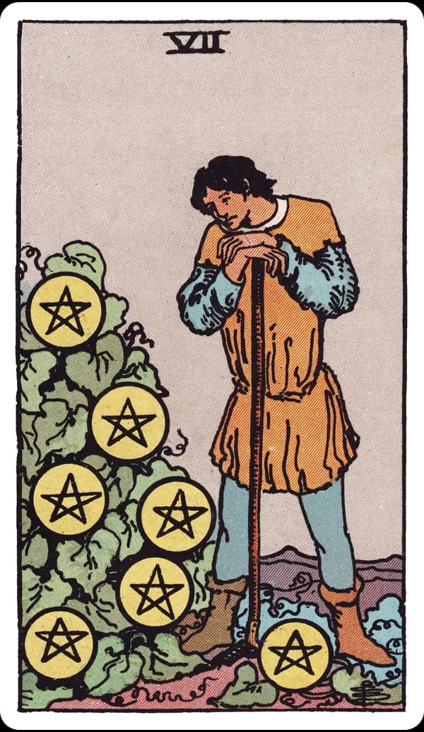 ไพ่ เจ็ดแห่งเหรียญ (Seven of Pentacles)