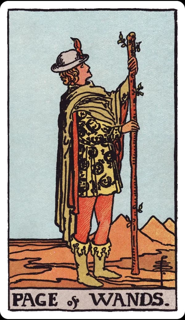 ไพ่ เพจแห่งไม้เท้า (Page of Wands)